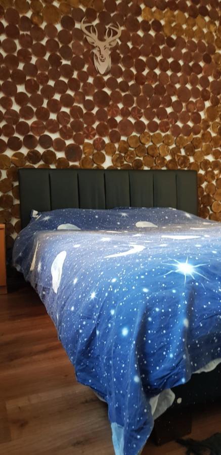 Apartment Straja Lupeni  Zewnętrze zdjęcie